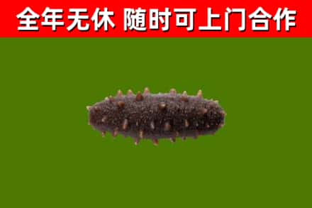 咸阳烟酒回收干海参.jpg